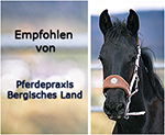 Pferdepraxis Bergisches Land